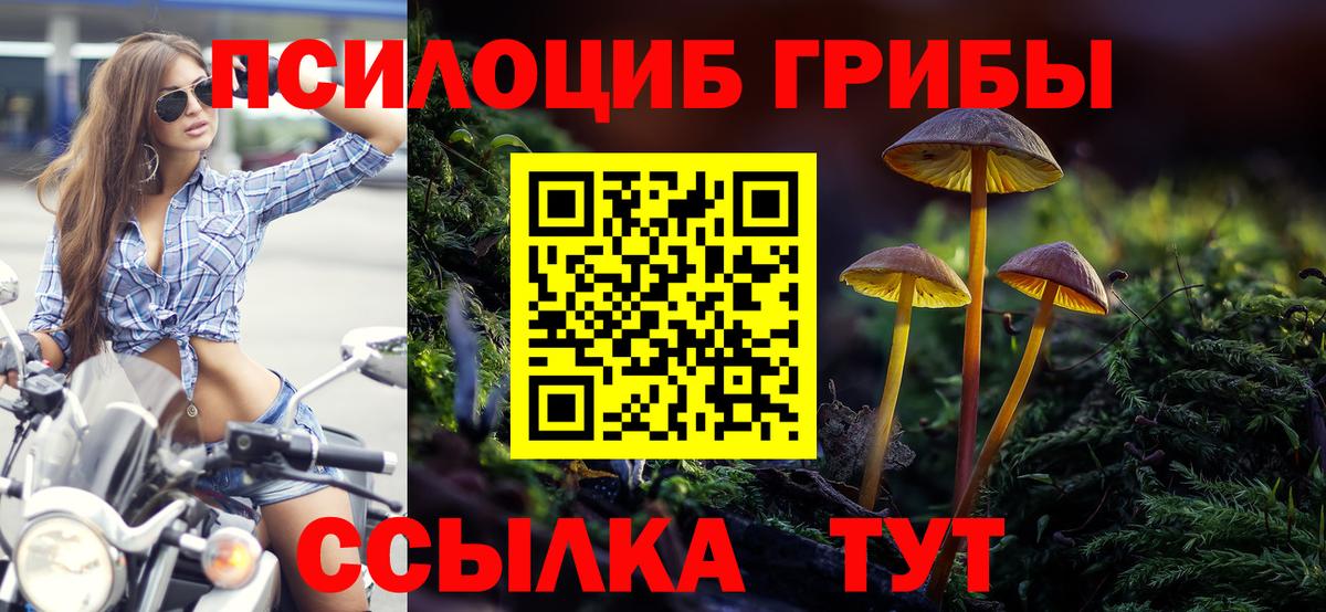 Серпухов  Псилоцибиновые грибы мухоморы  Вход с VPN  Псилоцибиновые грибы Psilocybine cubensis 